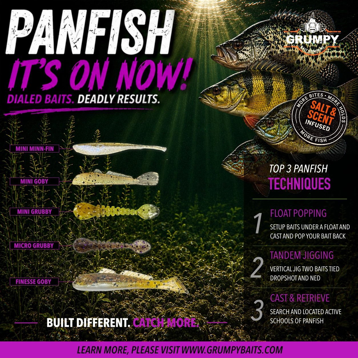 top perch crappie pumpkinseed bluegill baits