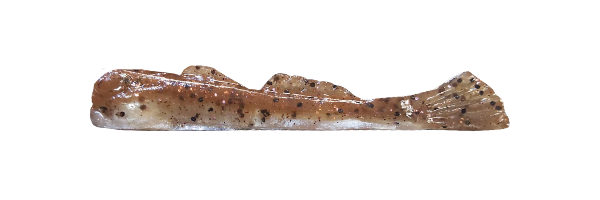 Brown Goby/Silver Belly (G003-008)