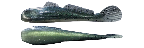 Guarder Goby (G016-064)
