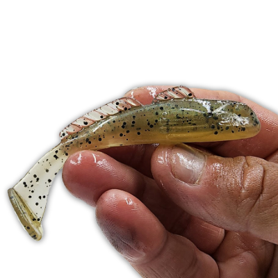 goliath-swim-goby-great-lakes-goby