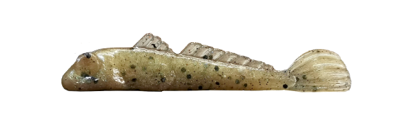 Speckled Goby (G010-025)