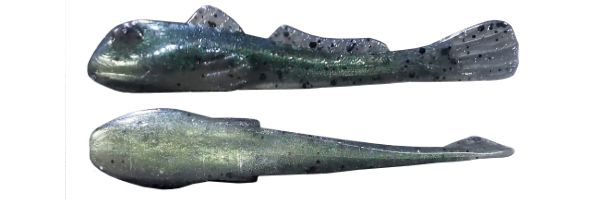 Guarder Goby (064)