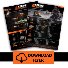 download strike sensory system flyer