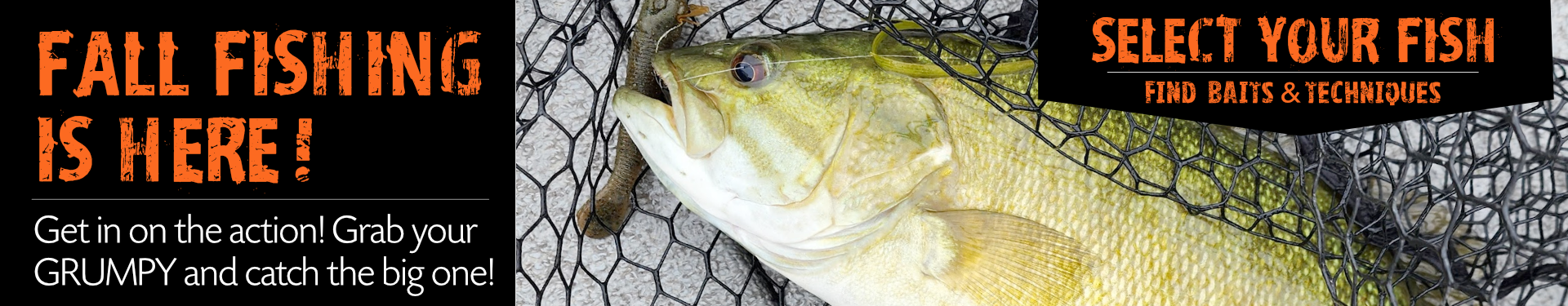 fall fishing top baits