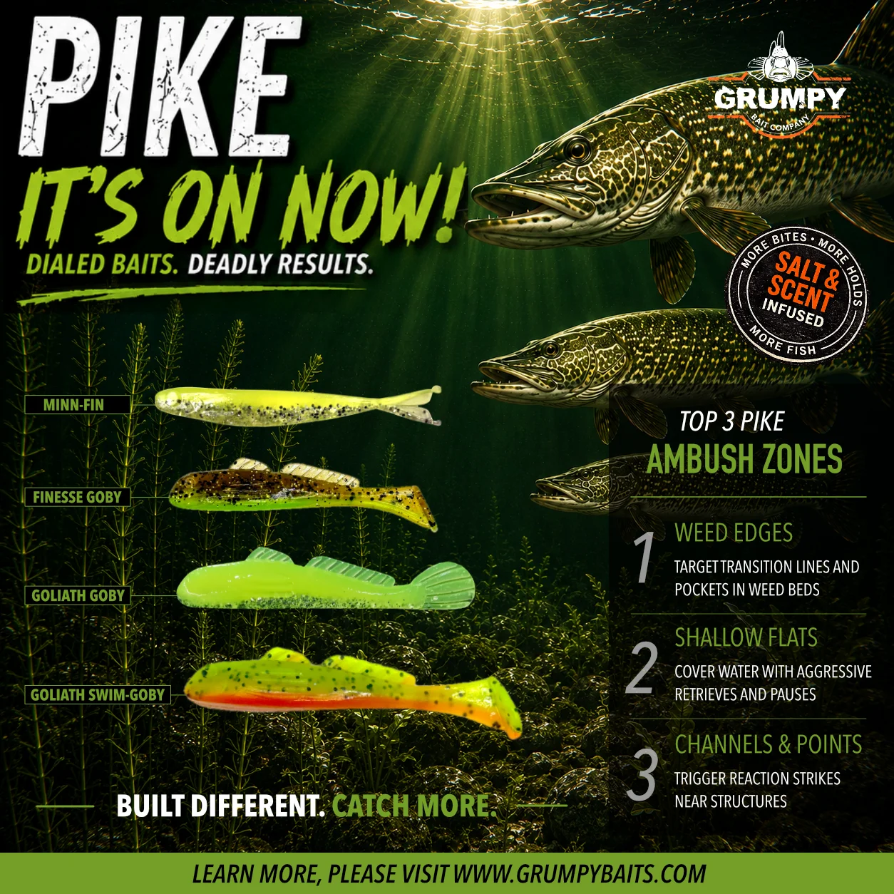 top pike baits