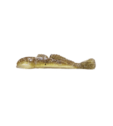 GRUMPY Goby