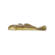 GRUMPY Goby
