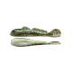 GOLIATH GOBY