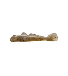 MINI GOBY