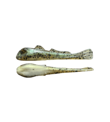 ROUND Goby