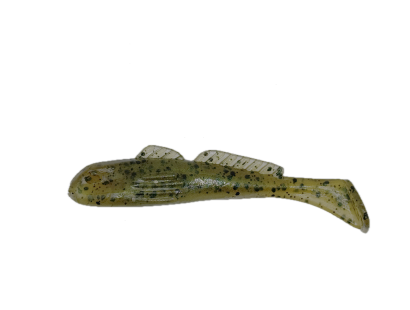 Lake Simcoe Goby (020)