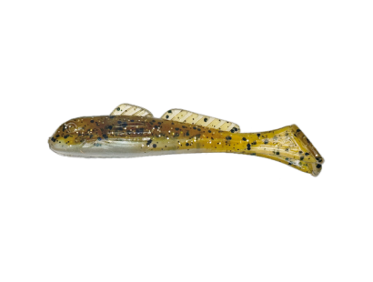 Lake St. Clair Goby (32)