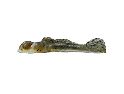 Lake Simcoe Goby (020) (+CAD$1.00)