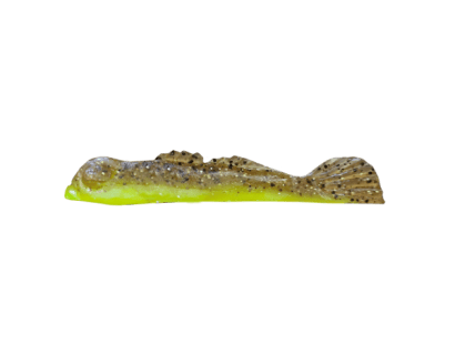 GOOGLE EYE GOBY