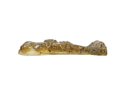 Natural Goby/Silver Belly (011) (+CAD$1.00)