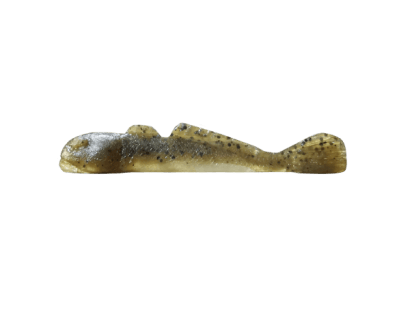 Lake Simcoe Goby (020) (+CAD$1.00)