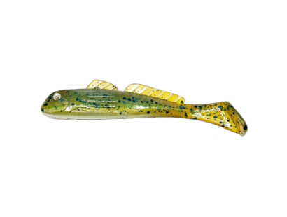 Lake Simcoe Goby (020)