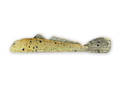 Goby Puke (089)
