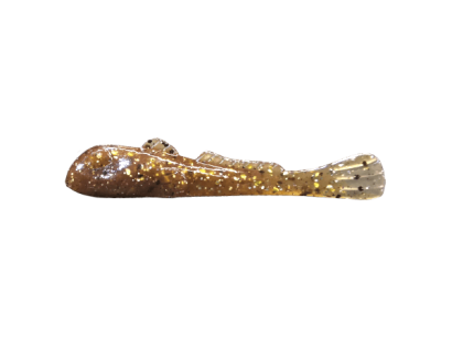 GOOGLE EYE GOBY