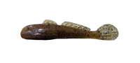 Largemouth Bass Slam Pack - SAVE 15%