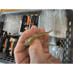 FISHING RATTLES