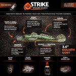 Strike Sensory System