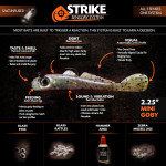 Strike Sensory System