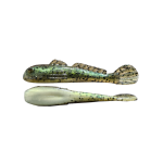 St.Clair River Walleye: Goby Series Slam Pack