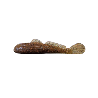 GOLIATH GOBY CLEARANCE