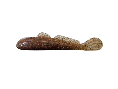 GOLIATH GOBY CLEARANCE