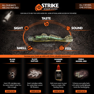 Strike Sensory System