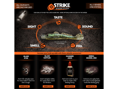 Strike Sensory System