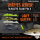 Thames River Walleye Slam 