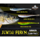 Jumbo Perch: Minnow Series Slam Pack - SAVE 15%